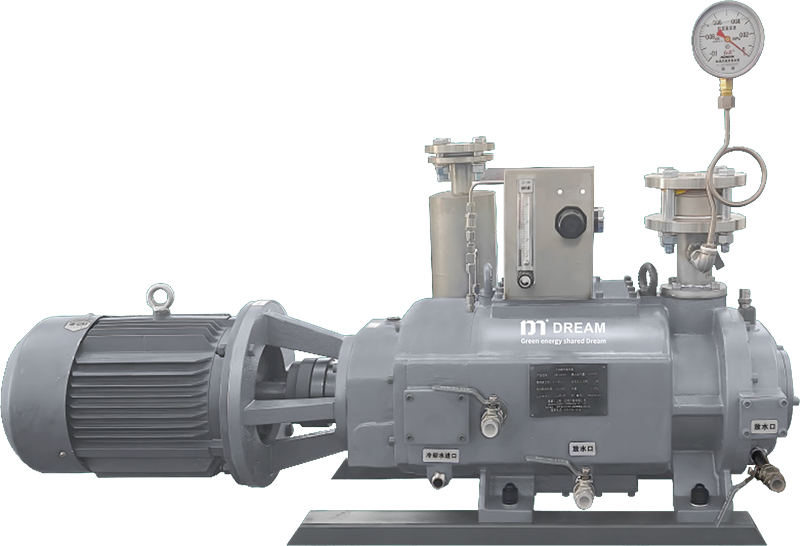 DMW-P series Dry screw vacuum pump