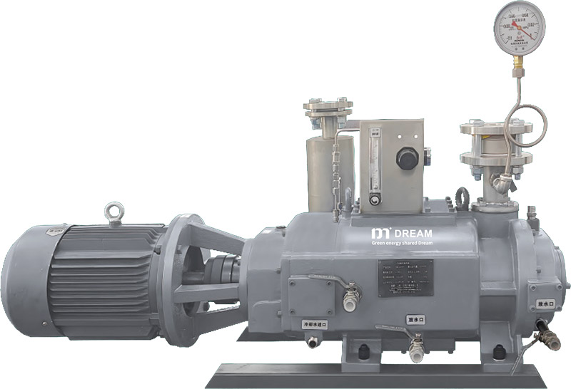 DMW-P series Dry screw vacuum pump