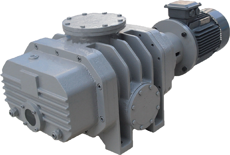 DM series Roots vacuum pump