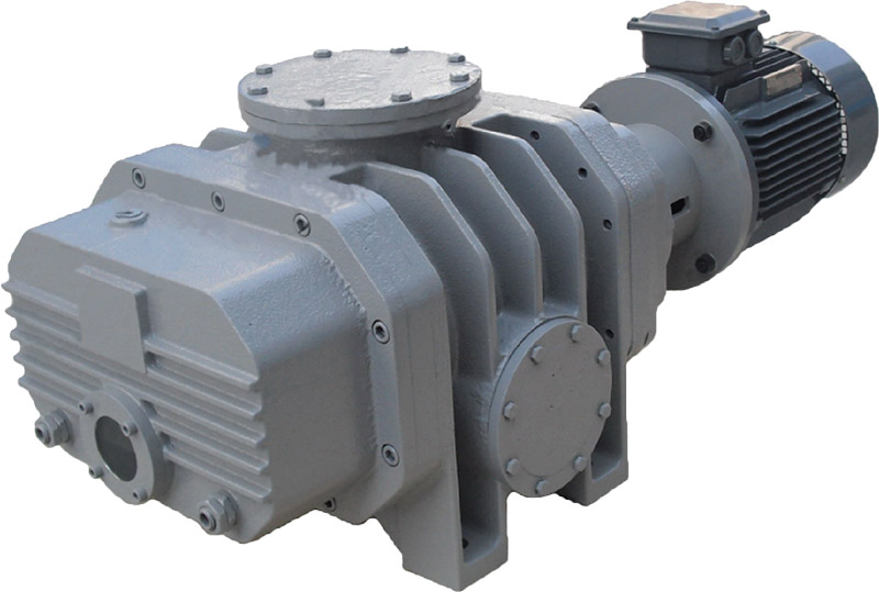 DM series Roots vacuum pump