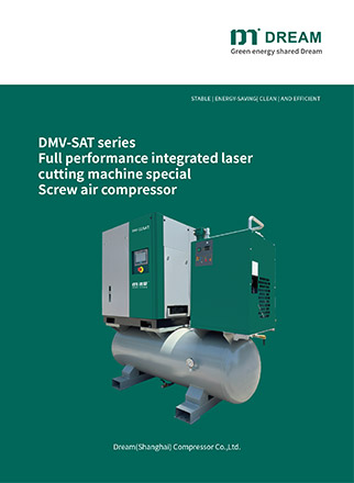 DREAM DMV-SAT series Screw Air Compressor .pdf