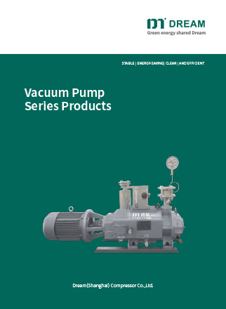 DREAM Vacuum Pump 2024 .pdf