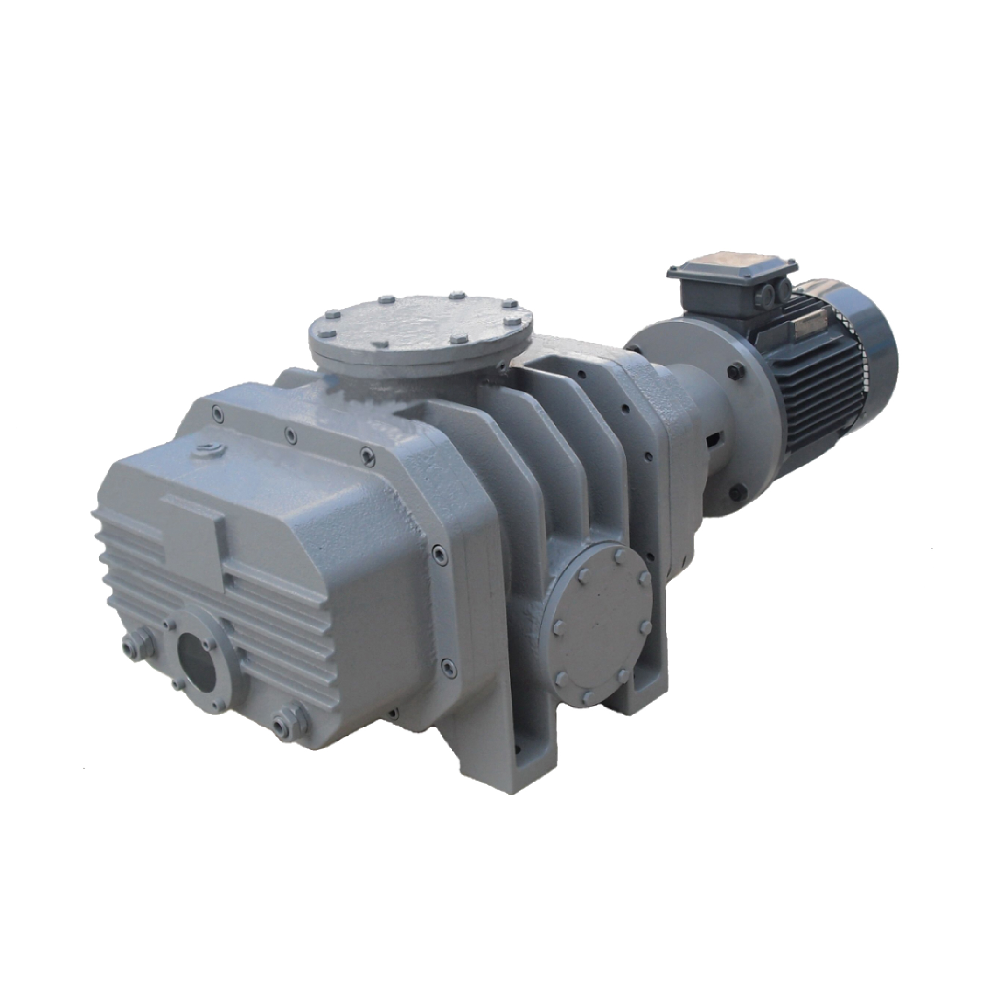 DM series Roots vacuum pump