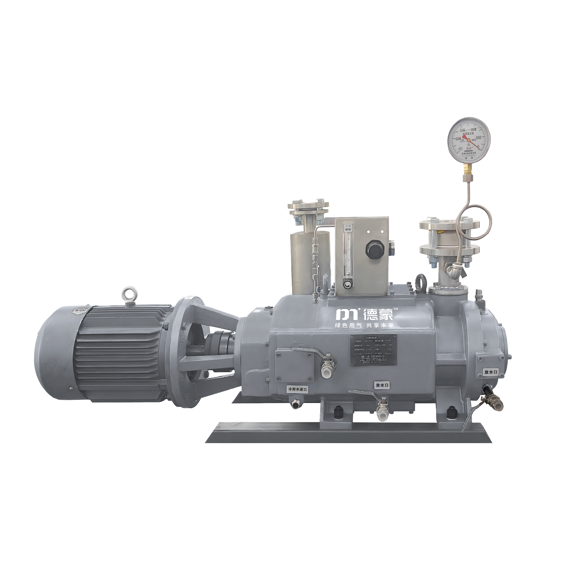 DMW-P series Dry screw vacuum pump