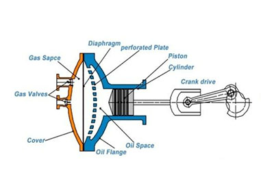 diaphragm